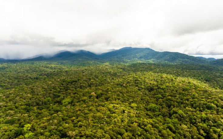 Đắk Nông: Nhiều biện pháp tăng cường bảo vệ, phát triển rừng