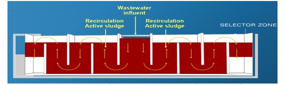 Ưu và nhược điểm của công nghệ xử lý nước thải đô thị bằng phương pháp bùn hoạt tính - 5