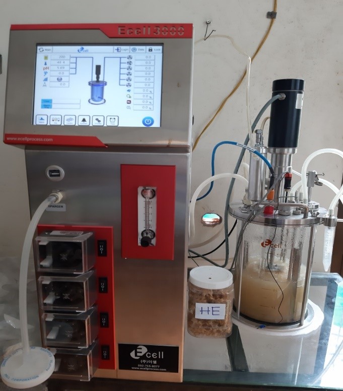 Công nghệ sản xuất đồ uống từ một số loài rong đỏ Việt Nam - 3