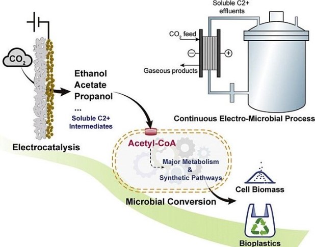 Sử dụng CO2 để sản xuất nhựa sinh học 