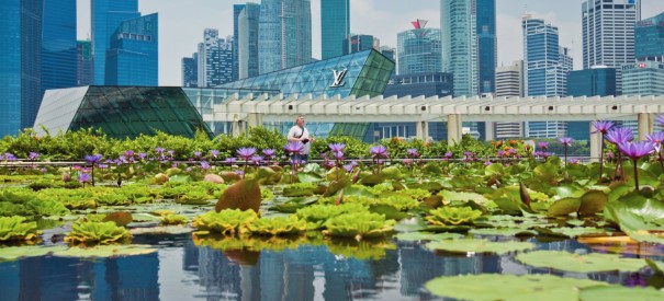 Cách Singapore 'hạ nhiệt' đô thị - 1