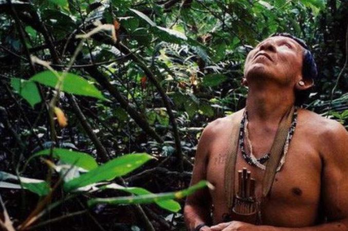 Những đám cháy trong rừng Amazon đã ảnh hưởng trực tiếp đến cuộc sống của những bộ tộc sinh sống trong rừng
