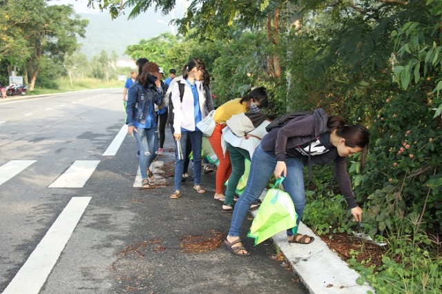 Các bạn trẻ tham gia làm sạch bán đảo Sơn Trà