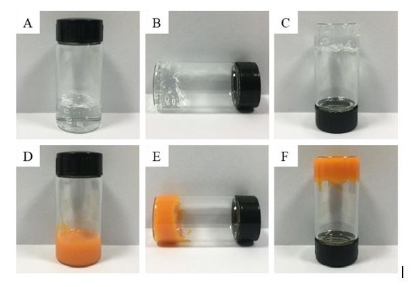 Các mẫu gel trắng (A, B, C) và gel nano cao ớt (D, E, F) 