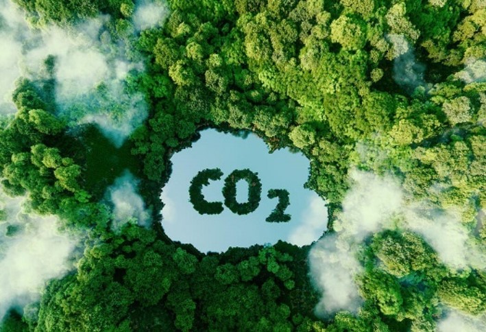 Viện Các-bon xanh quốc tế ra mắt nhân dịp Hội nghị thượng đỉnh về biến đổi khí hậu của Liên hợp quốc 2022 (COP27).