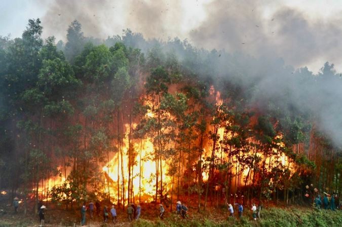 Diễn tập chữa cháy rừng cấp xã trên địa bàn huyện Sơn Động (tỉnh Bắc Giang) năm 2023