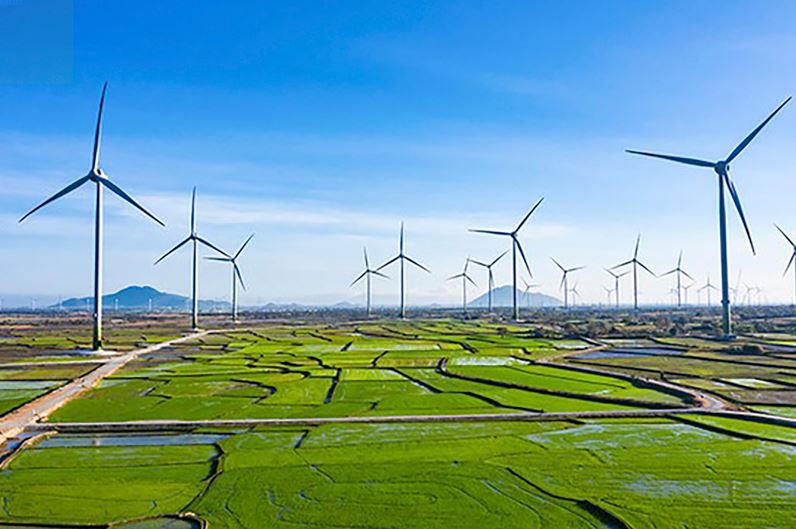 Tập trung phát triển năng lượng sạch, năng lượng xanh là một trong những nỗ lực của Việt Nam để triển khai các cam kết tại COP26.