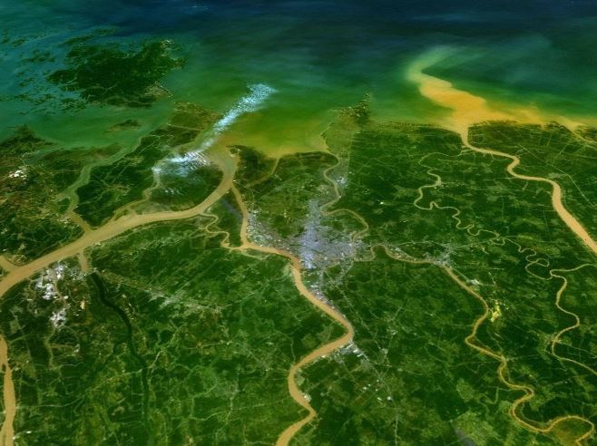 Hình ảnh vệ tinh WorldView-2 có độ phân giải chính xác giúp đánh giá được tình trạng suy thoái rừng ngập mặn tại Việt Nam