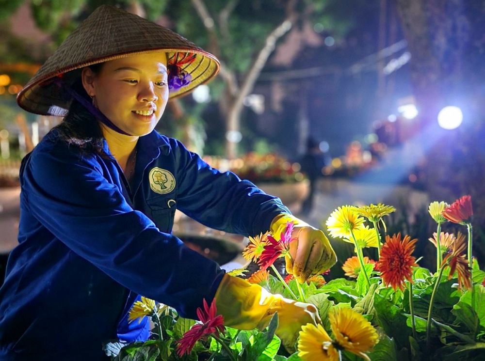 Công nhân trồng hoa xuyên đêm