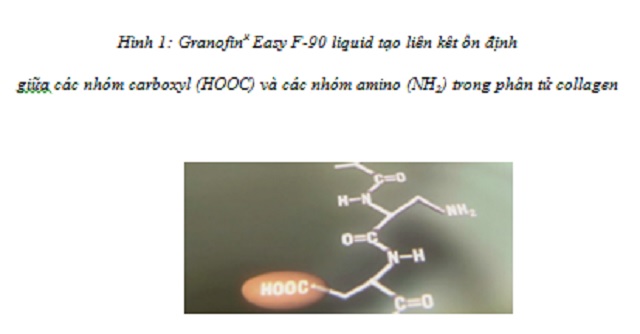 phat-trien-cong-nghe-thuoc-ket-hop-mimosa-granofin-easy-f90-liquid-than-thien-moi-truong-trong-thuoc-da-ca-sau-1