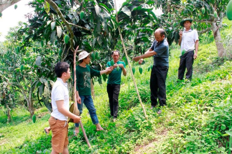 Sơn La thích ứng BĐKH: Triển khai nhiều mô hình, dự án xanh - Ảnh 3