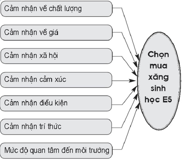 cac-yeu-to-anh-huong-den-viec-chon-mua-xang-sinh-hoc-e5-cua-khach-hang-ca-nhan-tren-dia-ban-thanh-pho-ca-mau-1