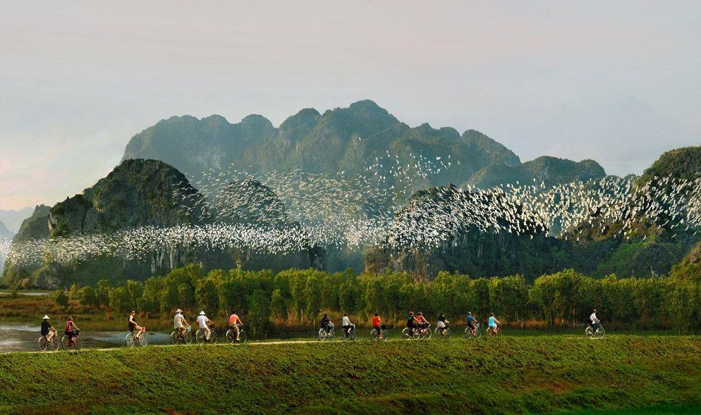 Khám phá Thung Nham - xứ sở của các loài chim tại Ninh Bình