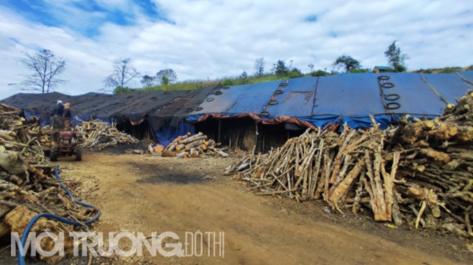 Gia Lai: Hàng trăm lò than trái phép, ngày đêm thải khói nguy hại ra môi trường - Ảnh 4