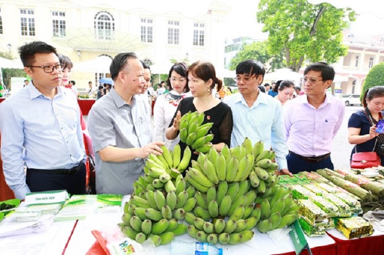 giai-phap-huu-co-vi-sinh-gop-phan-bao-dam-an-toan-thuc-pham-va-ve-sinh-moi-truong-1