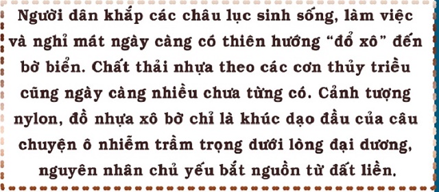 rac-nhua-va-con-thinh-no-cua-dai-duong-2