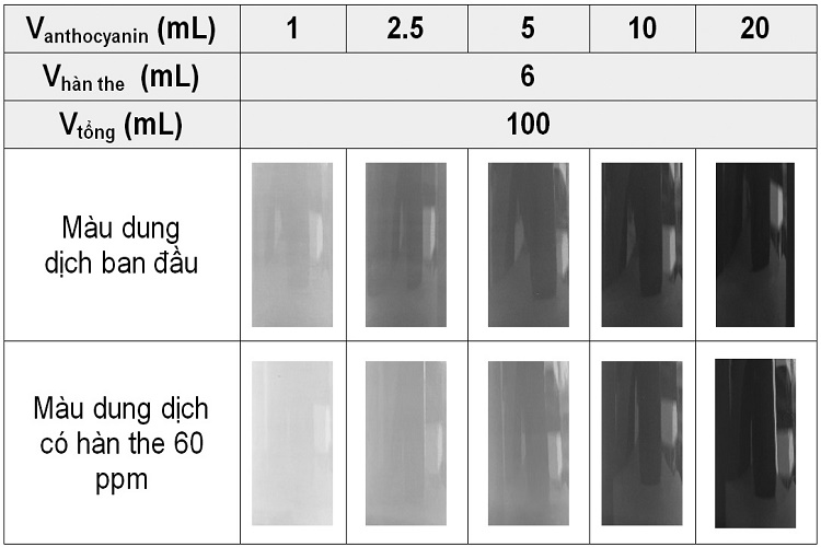 nghien-cuu-quy-trinh-chiet-anthocyanin-tu-hoa-dau-biec-kho-ung-dung-lam-chat-chi-thi-phat-hien-han-the-9