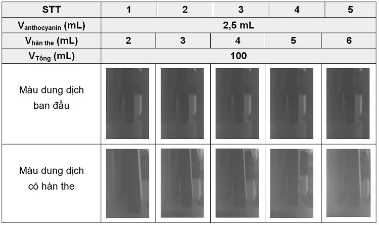 nghien-cuu-quy-trinh-chiet-anthocyanin-tu-hoa-dau-biec-kho-ung-dung-lam-chat-chi-thi-phat-hien-han-the-10