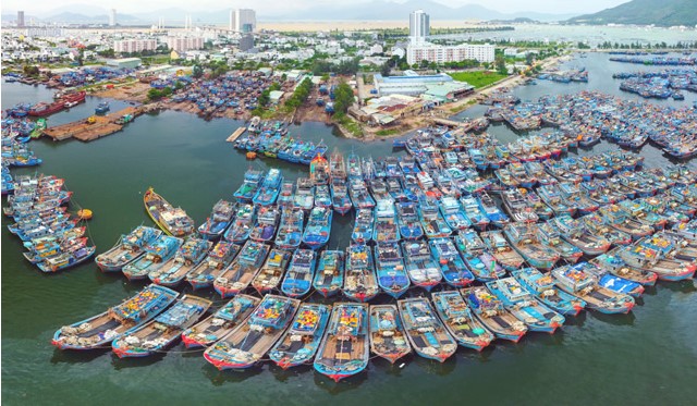 Năm 2025 sẽ xóa điểm nóng ô nhiễm môi trường tại âu thuyền Thọ Quang - Ảnh 2