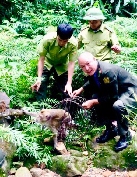 Những quy định mới liên quan đến xử lý vi phạm hành chính về động vật hoang dã - Ảnh 2