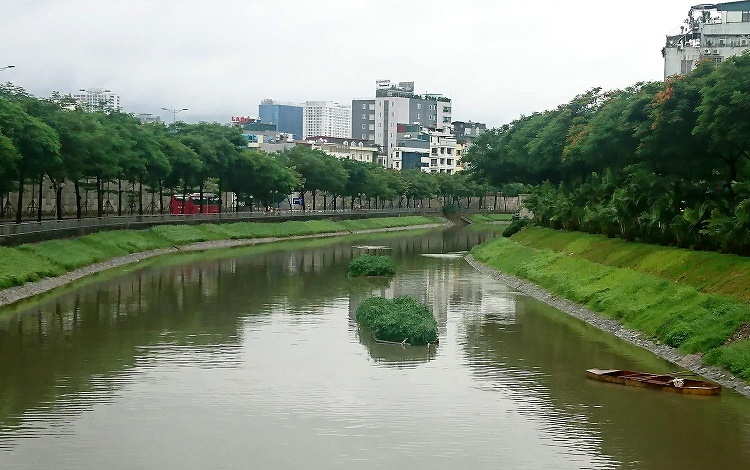 co-the-giai-cuu-nhung-con-song-thoi-cua-ha-noi-1