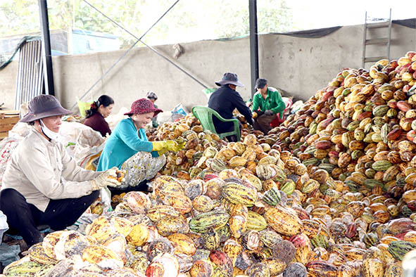 Sản xuất, chế biến nông sản không chất thải