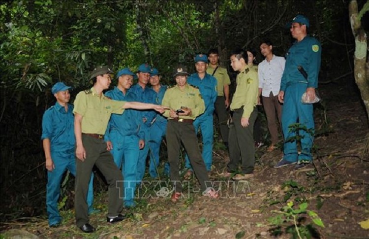 ung-dung-cong-nghe-trong-quan-ly-bao-ve-va-phong-chay-chua-chay-rung-3