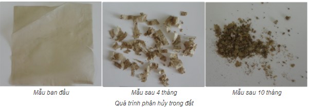 Hạt nhựa tự hủy từ hạt nhựa Polyolephin phế thải và bao bì tự hủy