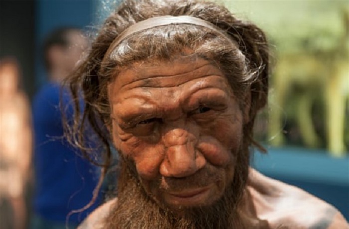dna-tu-bui-trong-hang-dong-goi-mo-ve-cuoc-song-cua-nguoi-neanderthanl-1