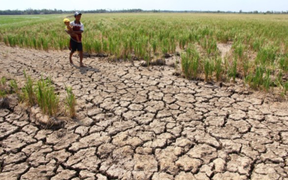 80% diện tích đất trồng trọt thiếu nước vào năm 2050 