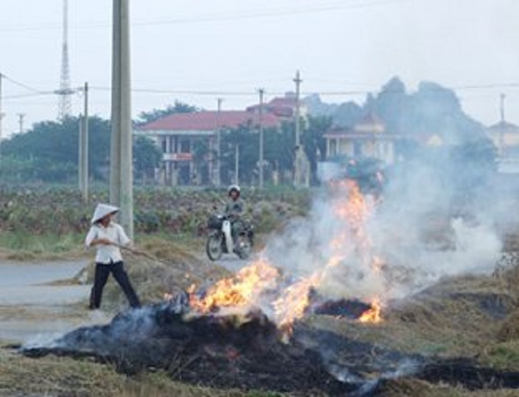 phap-luat-quy-dinh-ve-bao-ve-tang-ozone-1