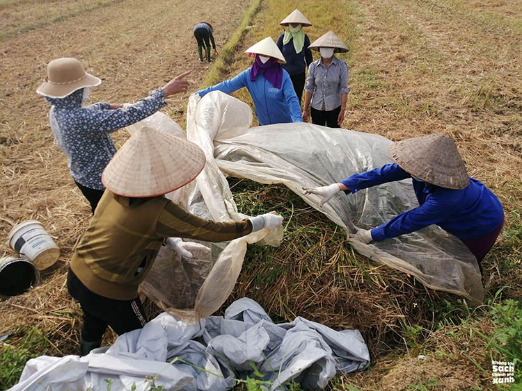 ủ rơm rạ thành phân hữu cơ bằng chế phẩm sinh học