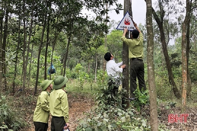 cang-minh-phong-chay-giu-la-phoi-xanh-giua-nang-nong-gay-gat-o-ha-tinh-3