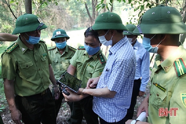 cang-minh-phong-chay-giu-la-phoi-xanh-giua-nang-nong-gay-gat-o-ha-tinh-1