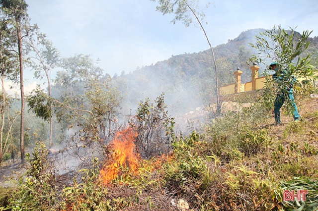 cang-minh-phong-chay-giu-la-phoi-xanh-giua-nang-nong-gay-gat-o-ha-tinh-7