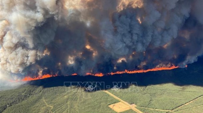 Khói lửa bốc lên từ đám cháy rừng tại British Columbia, Canada ngày 9/6