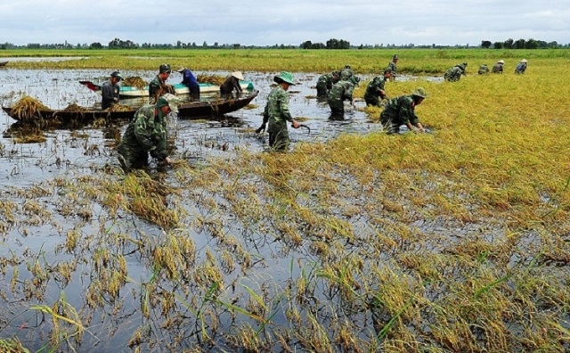 phuc-hoi-moi-truong-sau-su-co-moi-truong-1