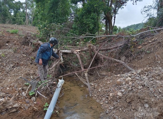 Một lượng lớn đất đá, cành cây do khai thác rừng gây ô nhiễm nguồn nước đầu nguồn của người dân bản Bù. Ảnh: CĐ.