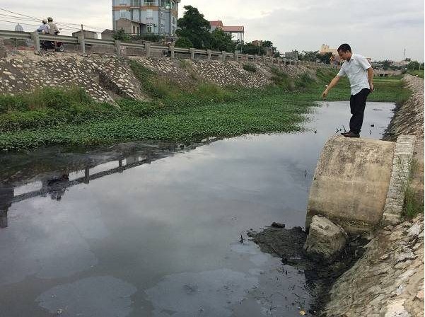 Ninh Bình: Xử phạt hành chính 112 trường hợp vi phạm pháp luật về bảo vệ môi trường