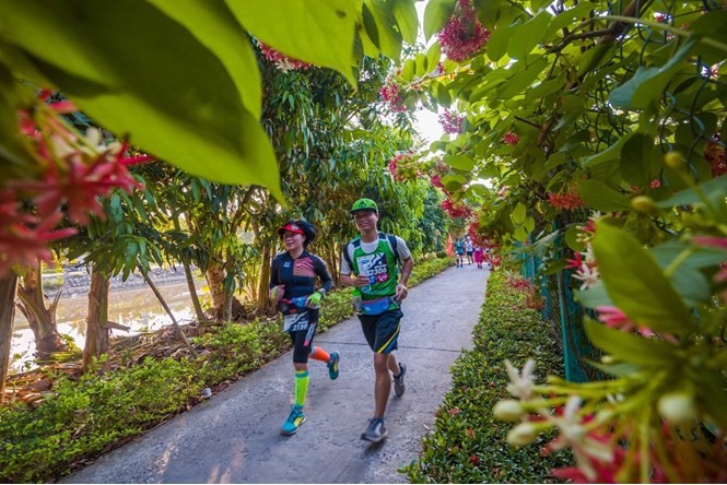 Giải chạy bộ Mekong Delta Marathon Hậu Giang 2019