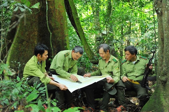 Các cán bộ kiểm lâm Vườn quốc gia Cúc Phương tuần tra, bảo vệ rừng