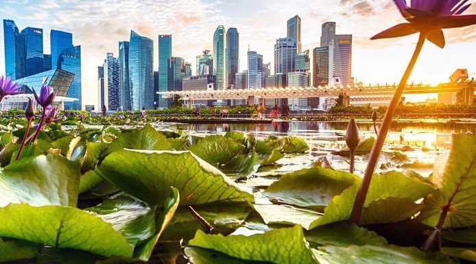 Phương pháp quản lý chất thải rắn sinh hoạt khác nhau giữa hai siêu đô thị mới nổi tại Singapore và Thượng Hải - Ảnh 3