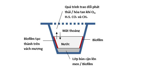 Hình 2 – Cơ chế phát thải khí trong mương cống chung tự chảy