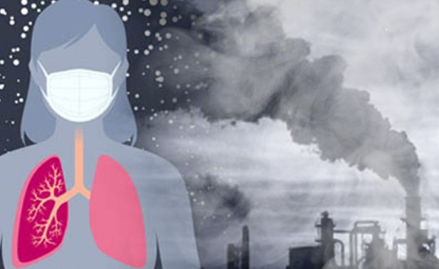 Khoảng 30% trường hợp tử vong do ung thư phổi có liên quan đến ô nhiễm không khí