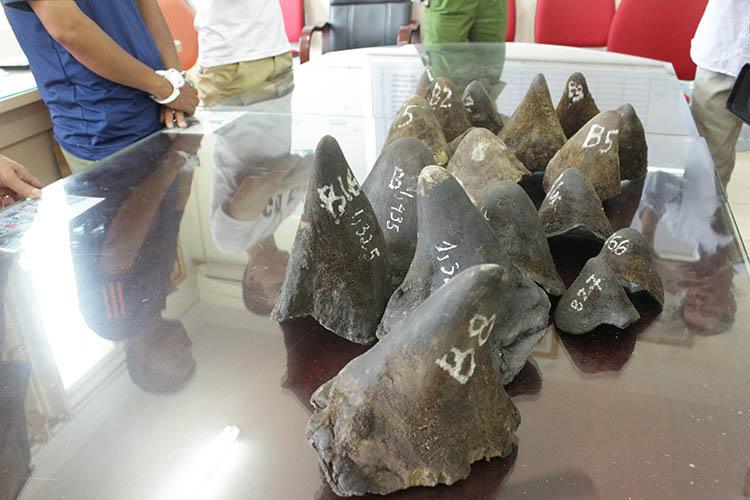 Nhìn lại công tác xử lý vi phạm về tê giác tại Việt Nam