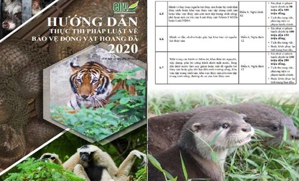 Hướng dẫn thực thi pháp luật về bảo vệ động vật hoang dã 2020