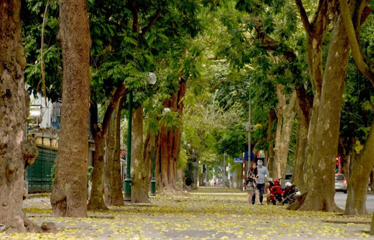 Phố Phan Đình Phùng - một trong những tuyến phố đẹp nhất Hà Nội.