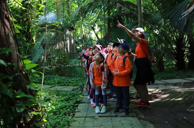 Khám phá thiên nhiên tại Bảo tàng Tài nguyên rừng Việt Nam - 1