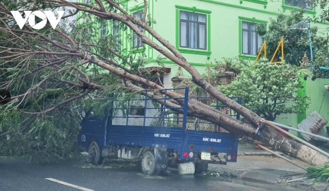 Công nhân môi trường Đà Nẵng ra quân dọn dẹp sau bão - 1