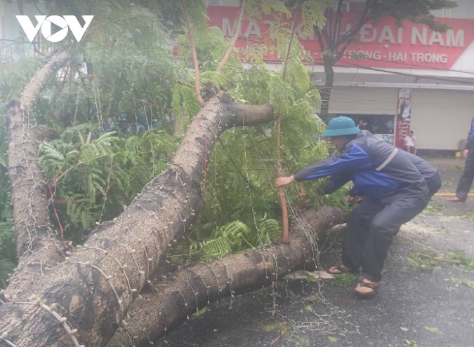 Công nhân môi trường Đà Nẵng ra quân dọn dẹp sau bão - 3